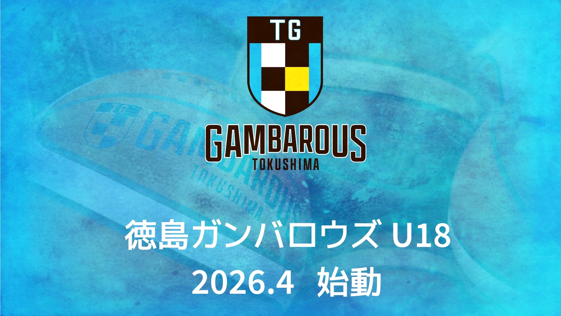 本日まで❗️徳島ガンバロウズ　サイン入りユニフォーム 徳島ガンバロウズ サイン入りユニフォーム - メルカリ